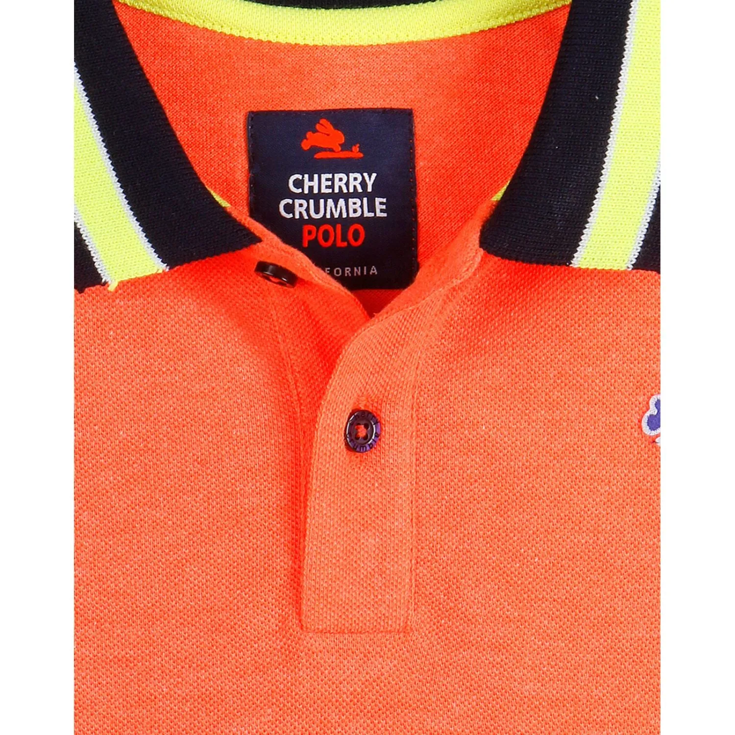 Essential Polo