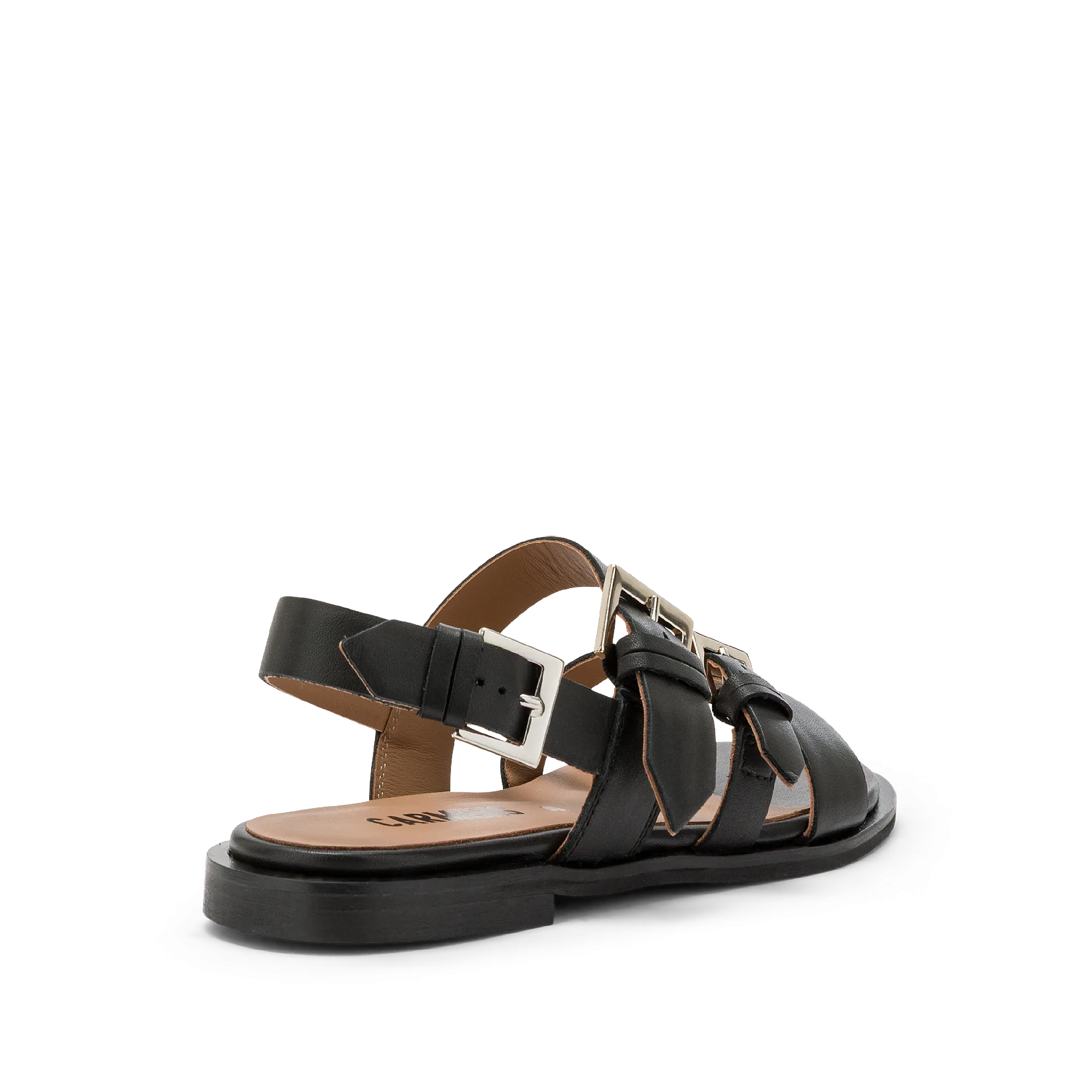 ETOILE BUCKLES NEW