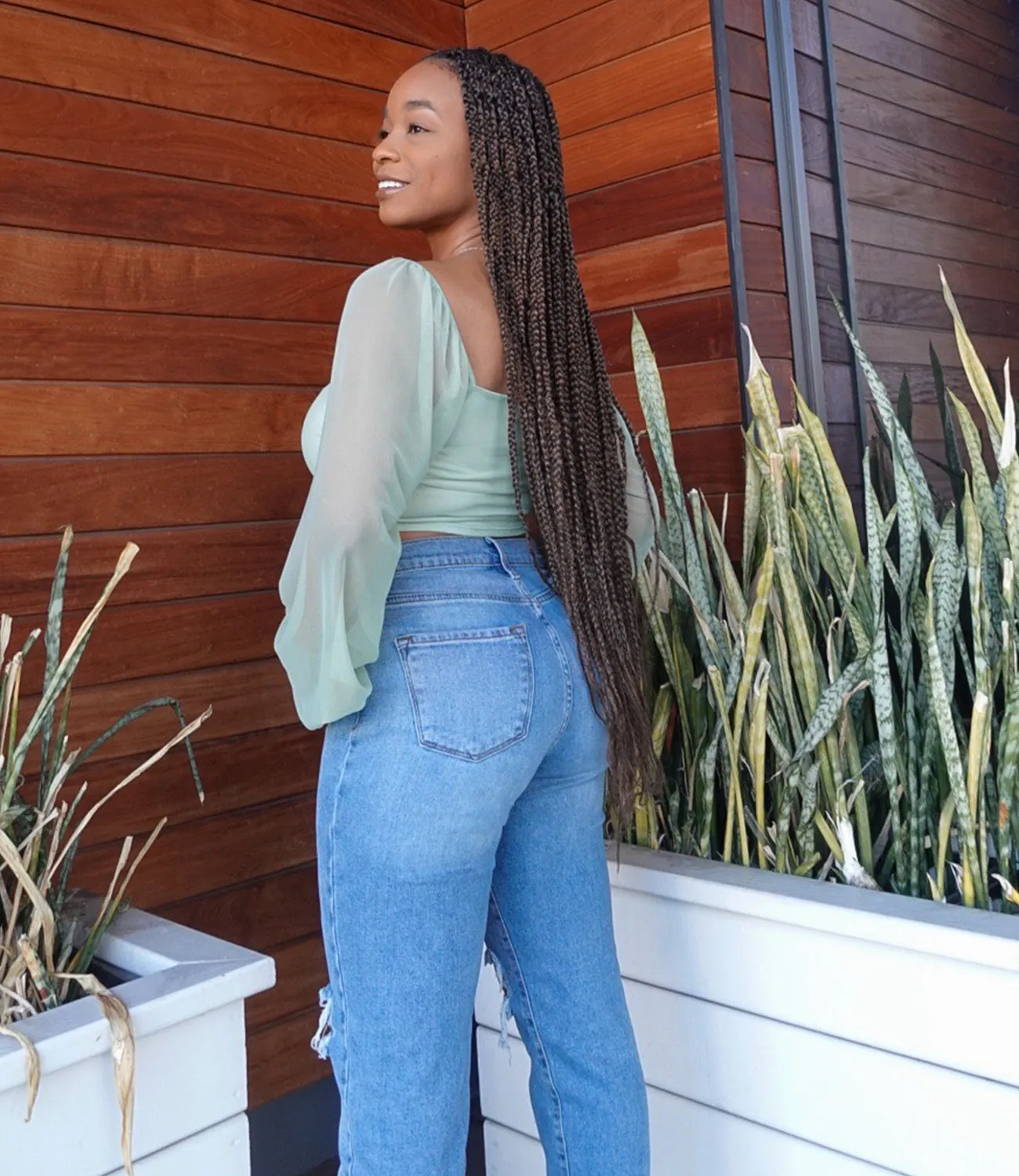 Fairytale Mesh Sleeve Top(Sage)