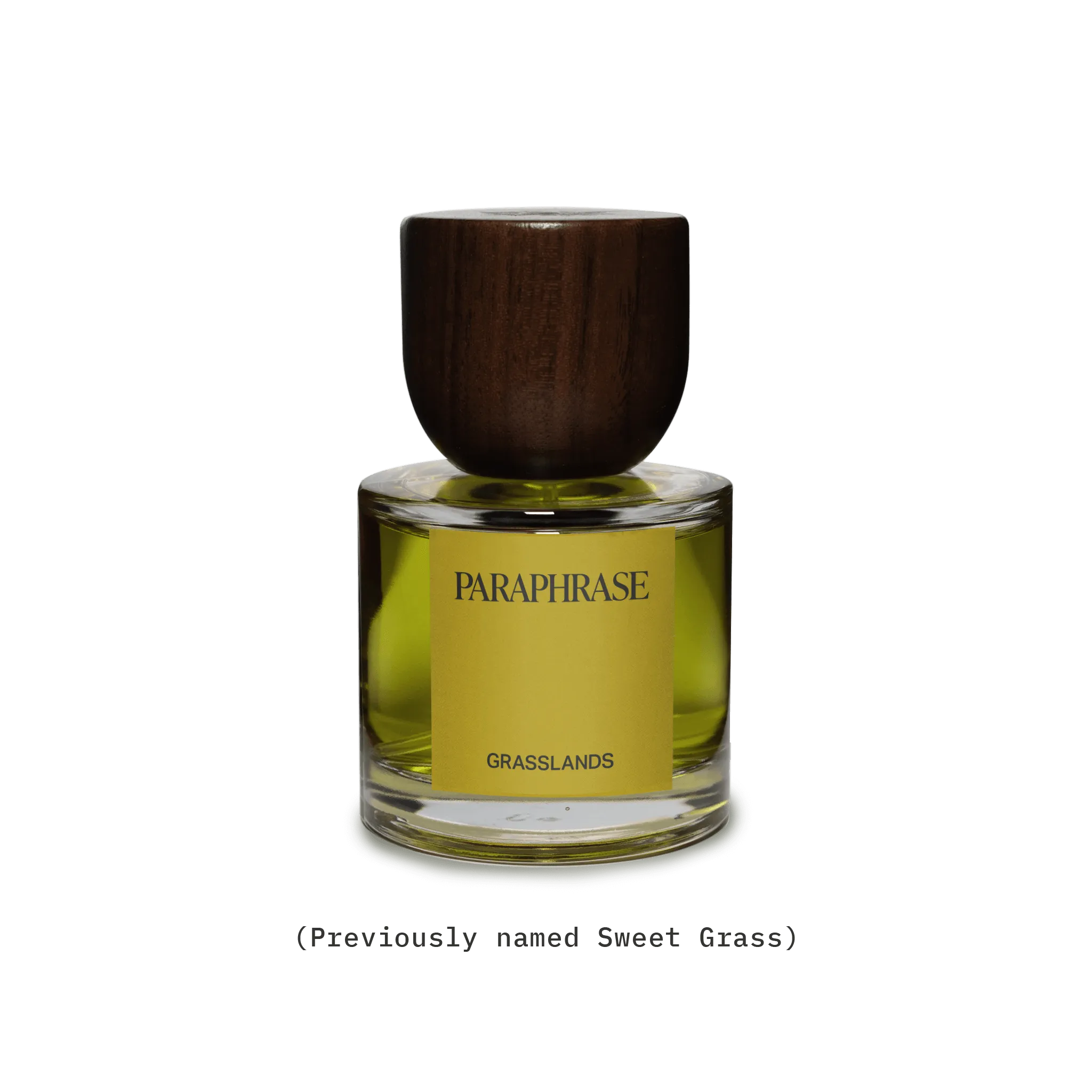 GRASSLANDS | GOLDEN GRASSY HERBS