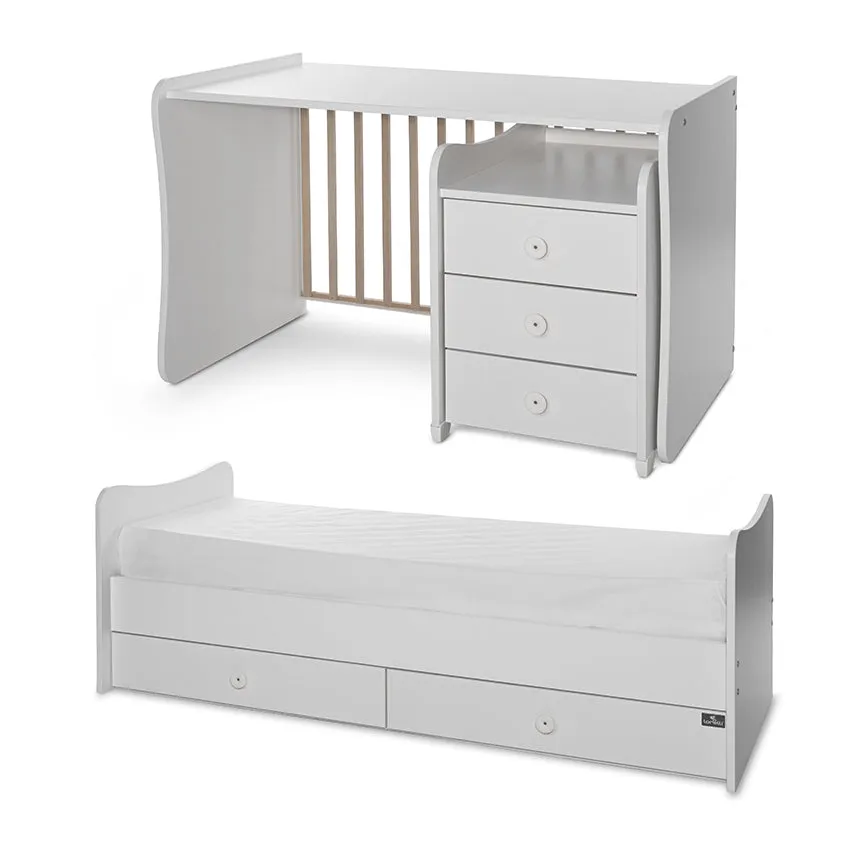 MAXI PLUS  room