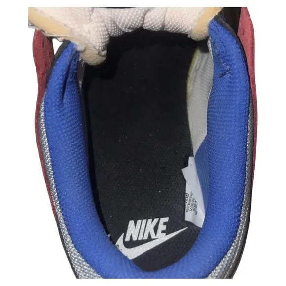Nike Dunk Multicolor Women's Disrupt Sneakers