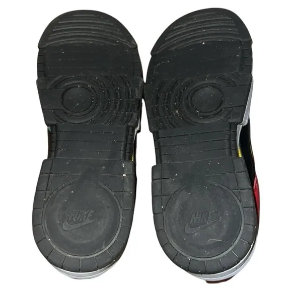 Nike Dunk Multicolor Women's Disrupt Sneakers
