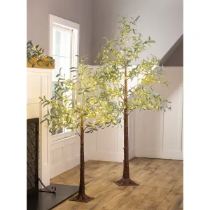 Olive Tree, Warm white 140 Micro Lights, 4',2phl097