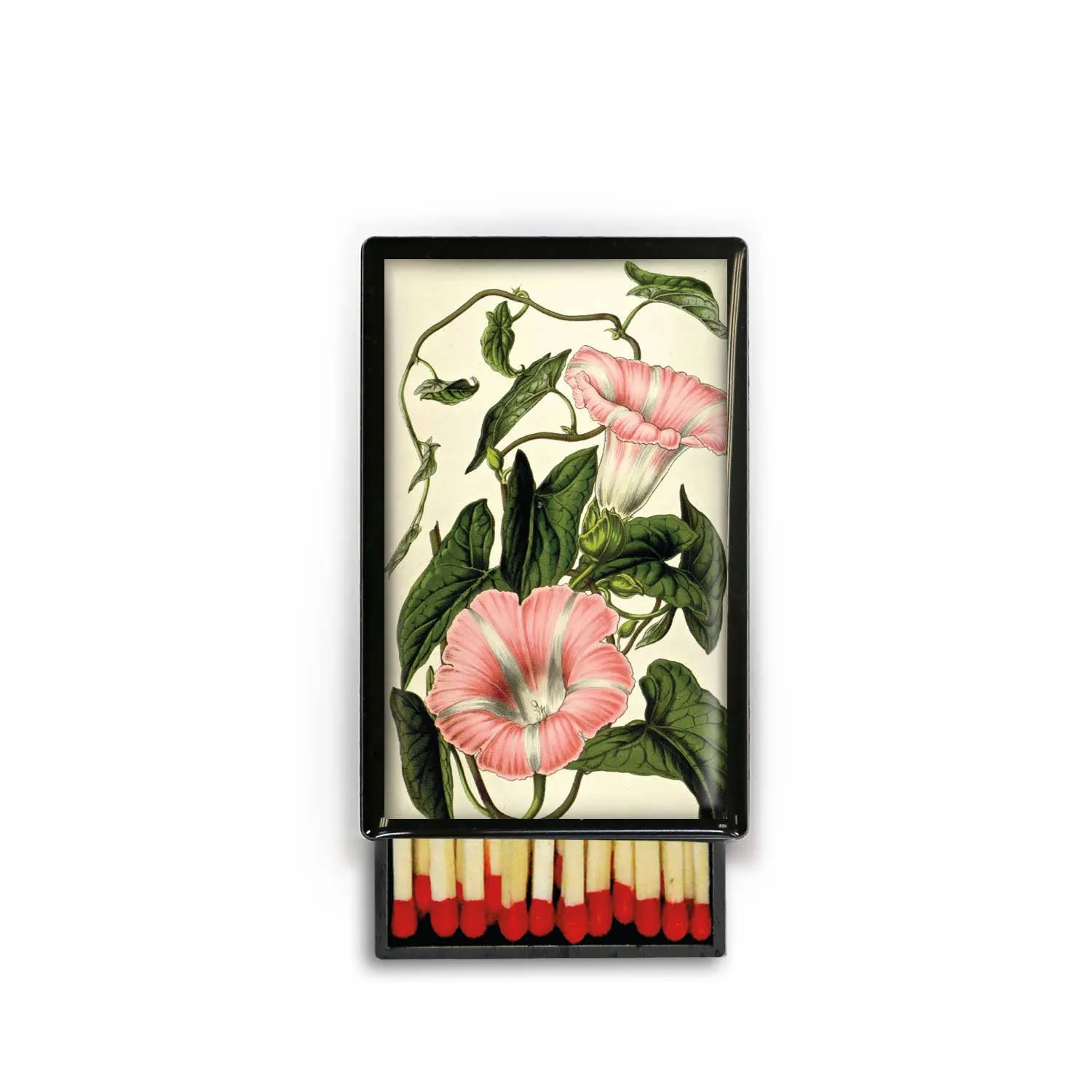 Pink Flower Garden Outdoor Plant Beautiful Slide Box