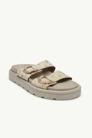 Zane Cream   Gold